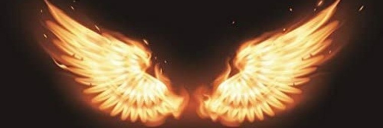 Max banner image