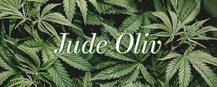 Jude Oliv ❇️ cover image