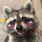 Juice avatar