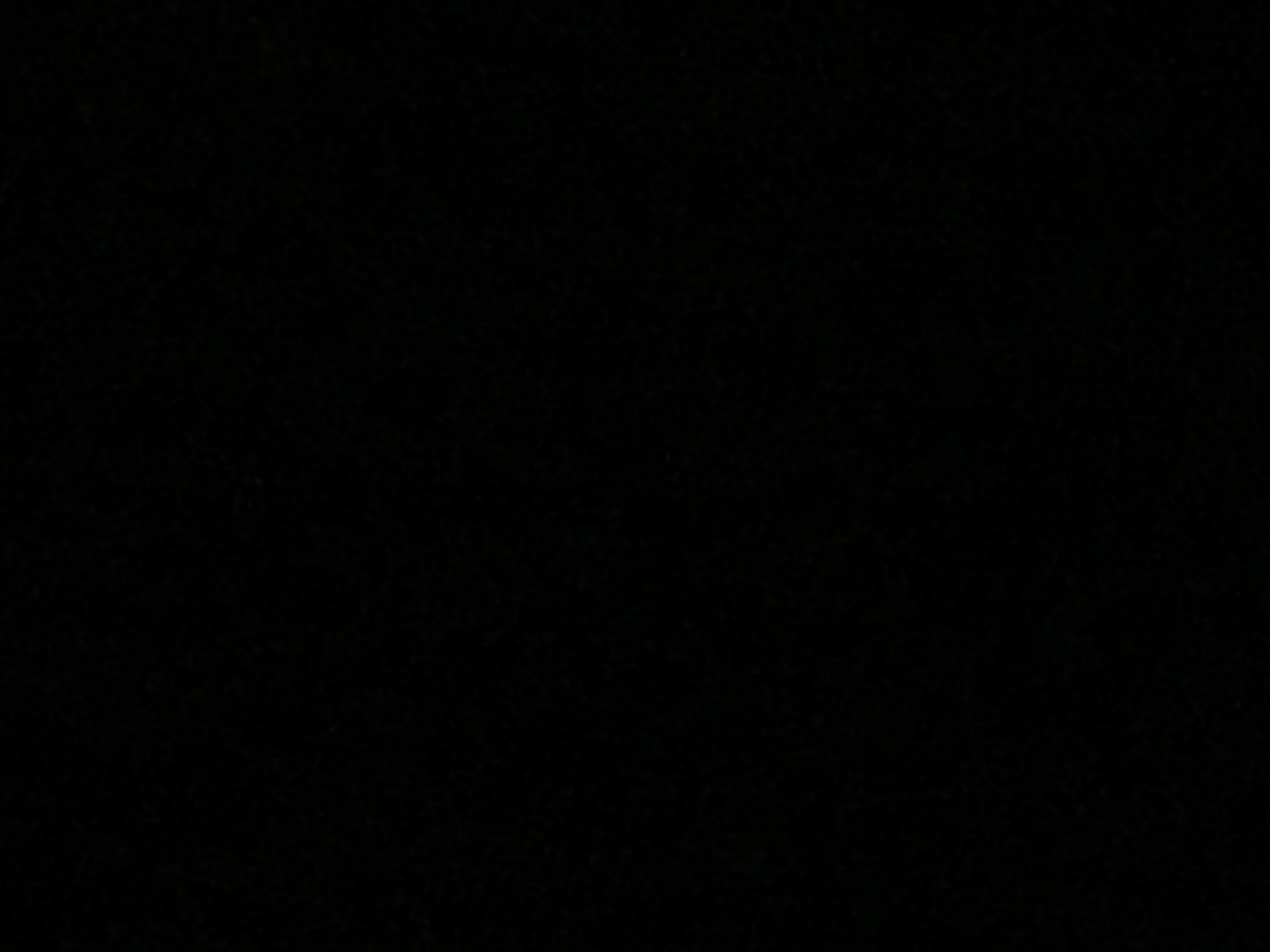 Kat banner image