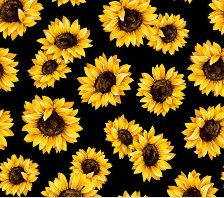 LaShonda banner image