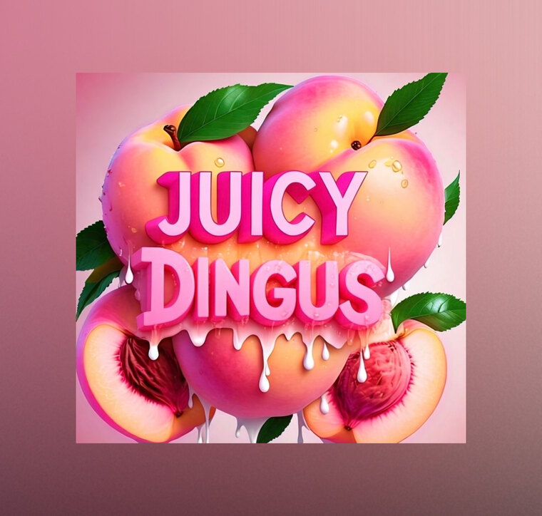 Juicy Dingus banner image
