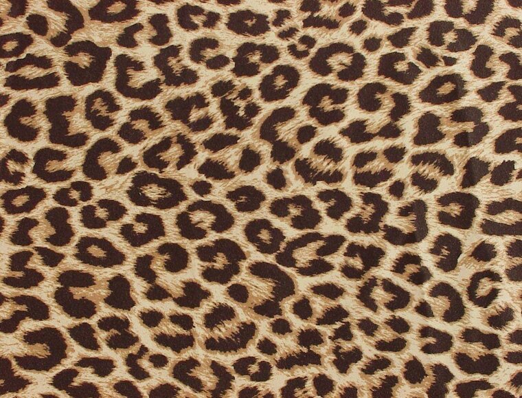 juicytoes cover image
