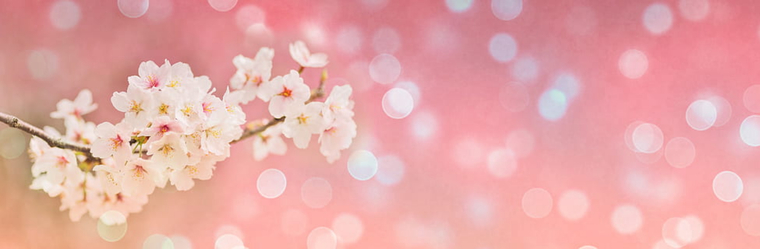 JuicyKiwi cover image