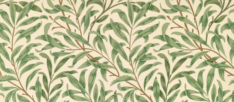 Regina saenz cover image
