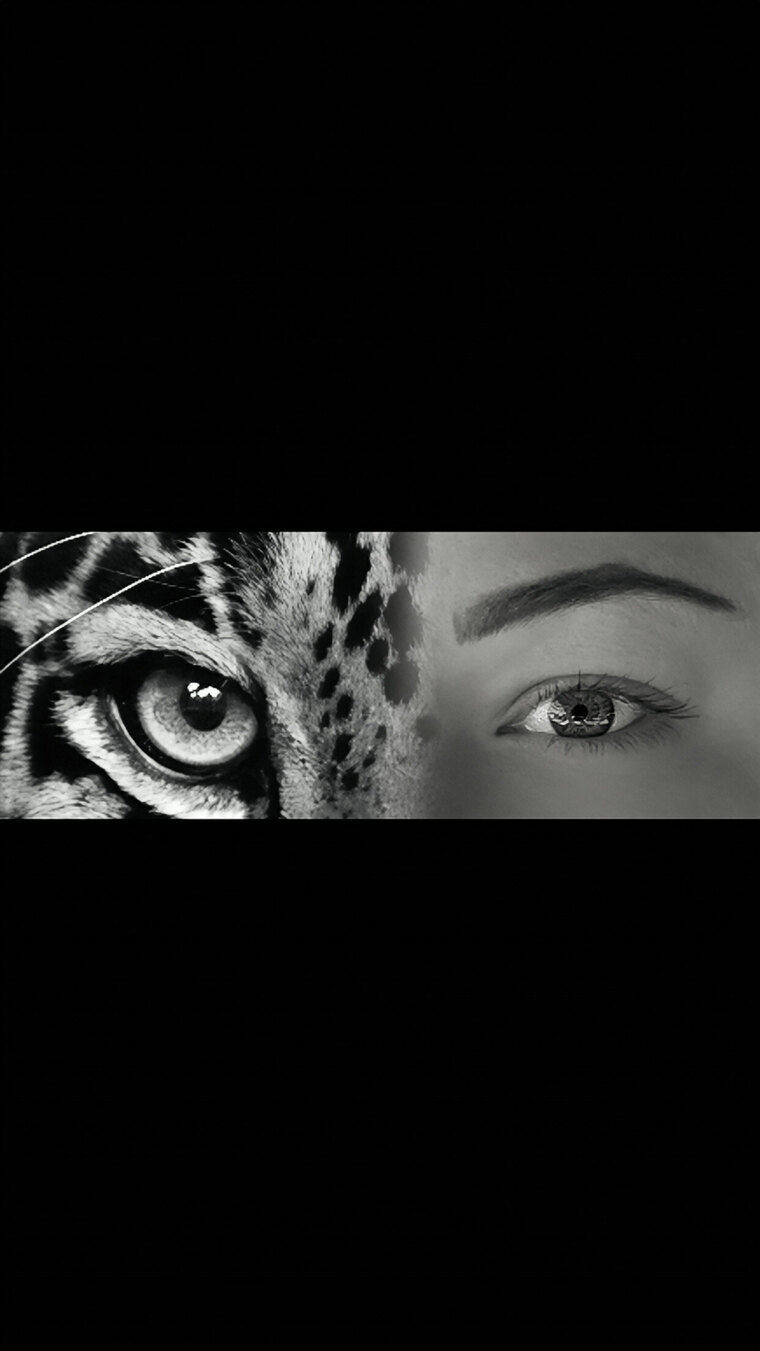Tiff Marie banner image