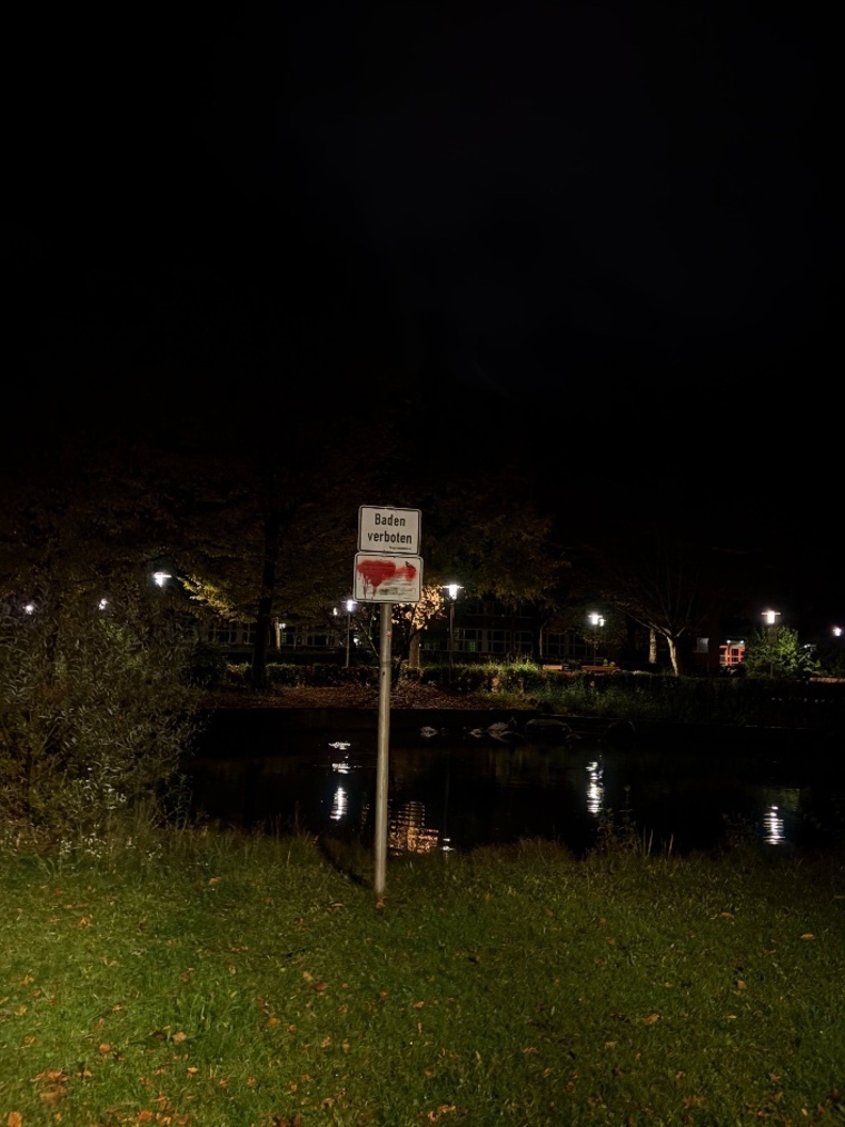 Julesrose banner image