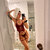 Julia Love avatar