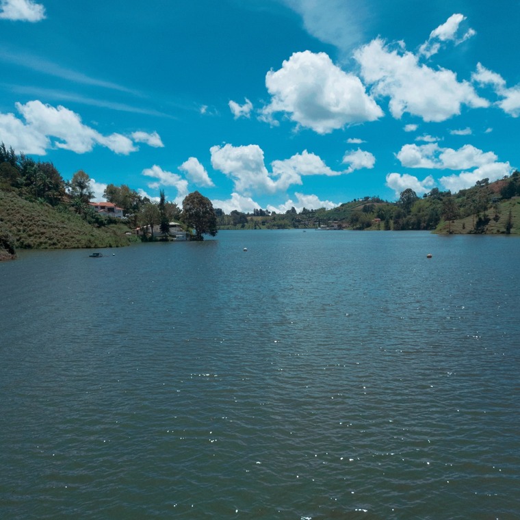 Julián Alvarez cover image