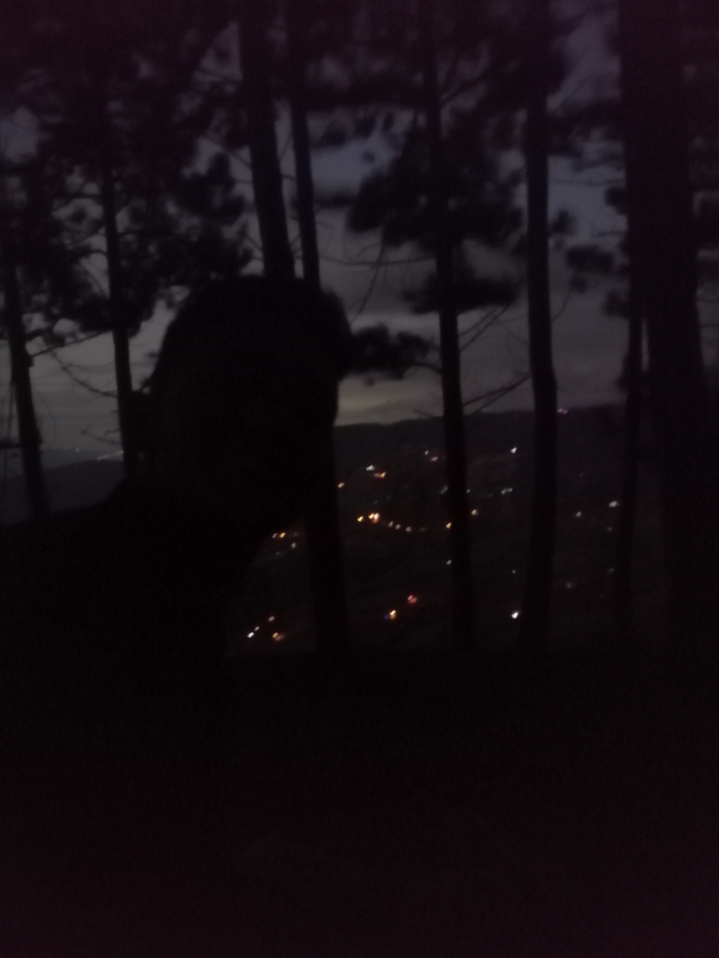 Julian Tobon banner image