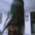 Juliana avatar