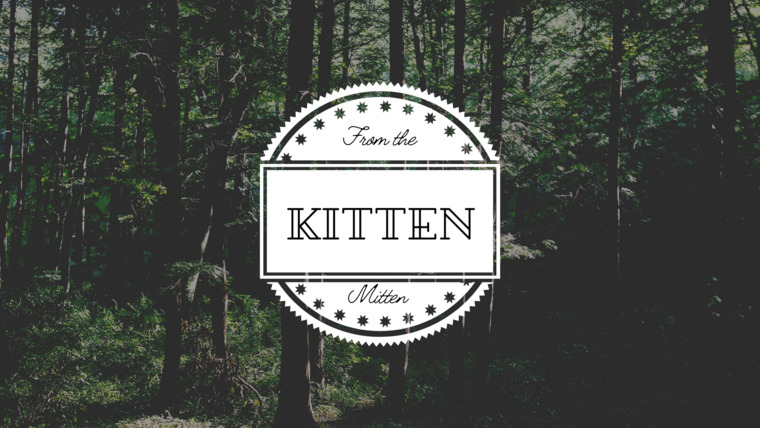 Kitten banner image