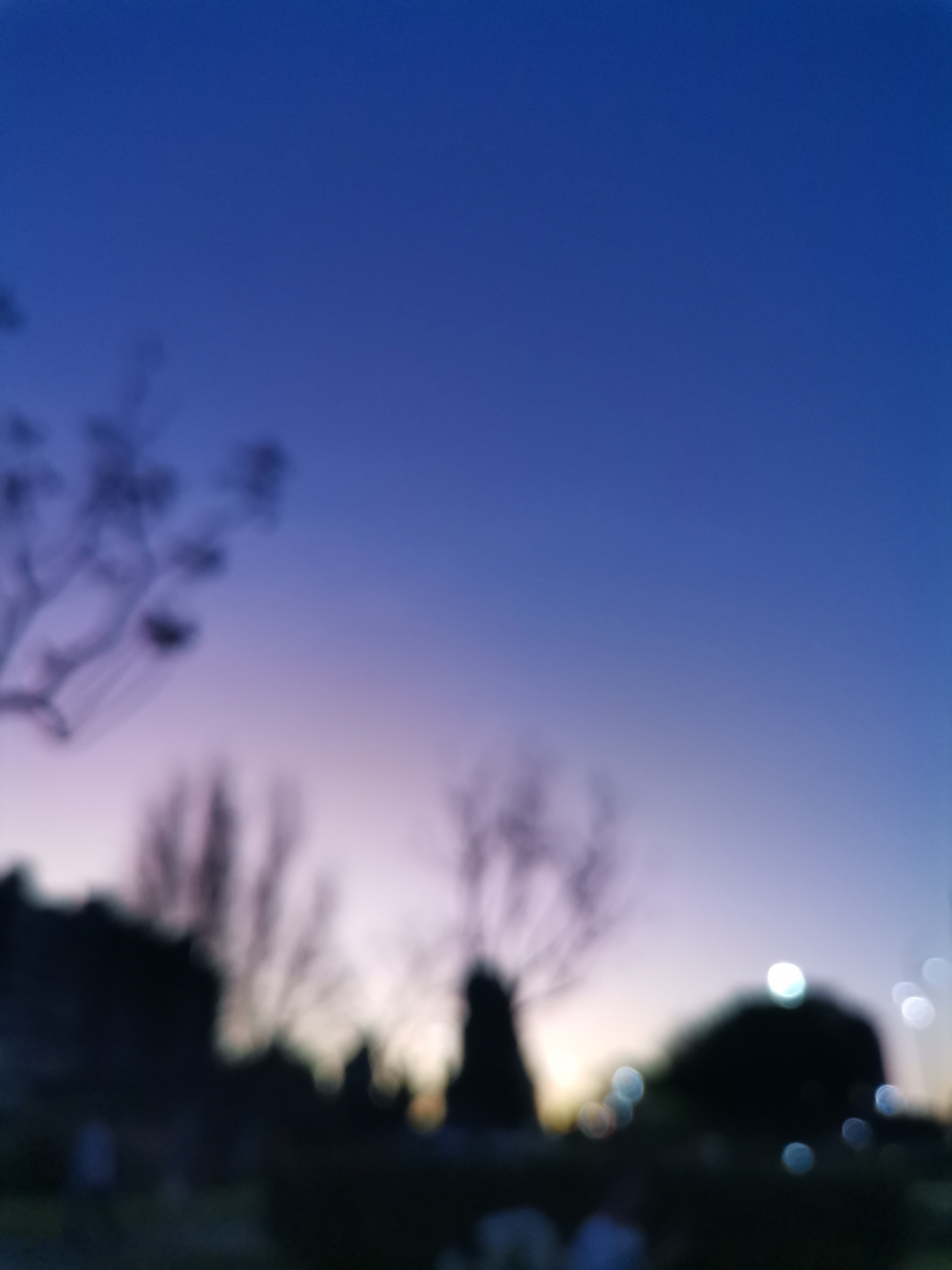 julieta rojas banner image