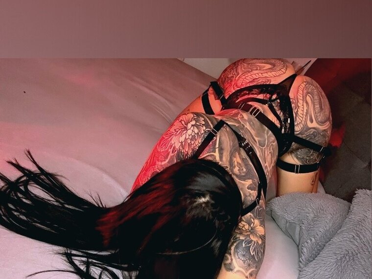 𝓙𝓾𝓵𝔂𝓼 𝓟𝓻𝓲𝓿𝓪𝓽𝓮🫦🔞 cover image