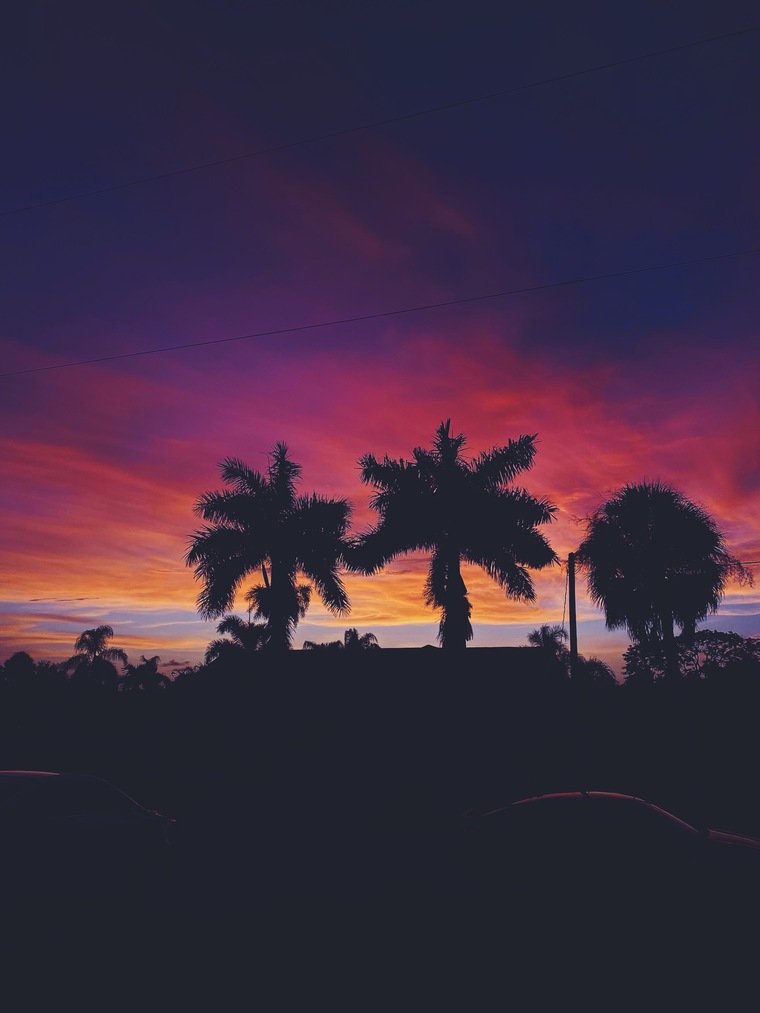 junelikethemonth banner image