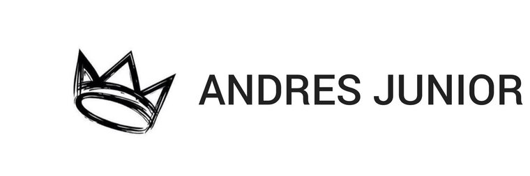 ANDRES JUNIOR❄ cover image