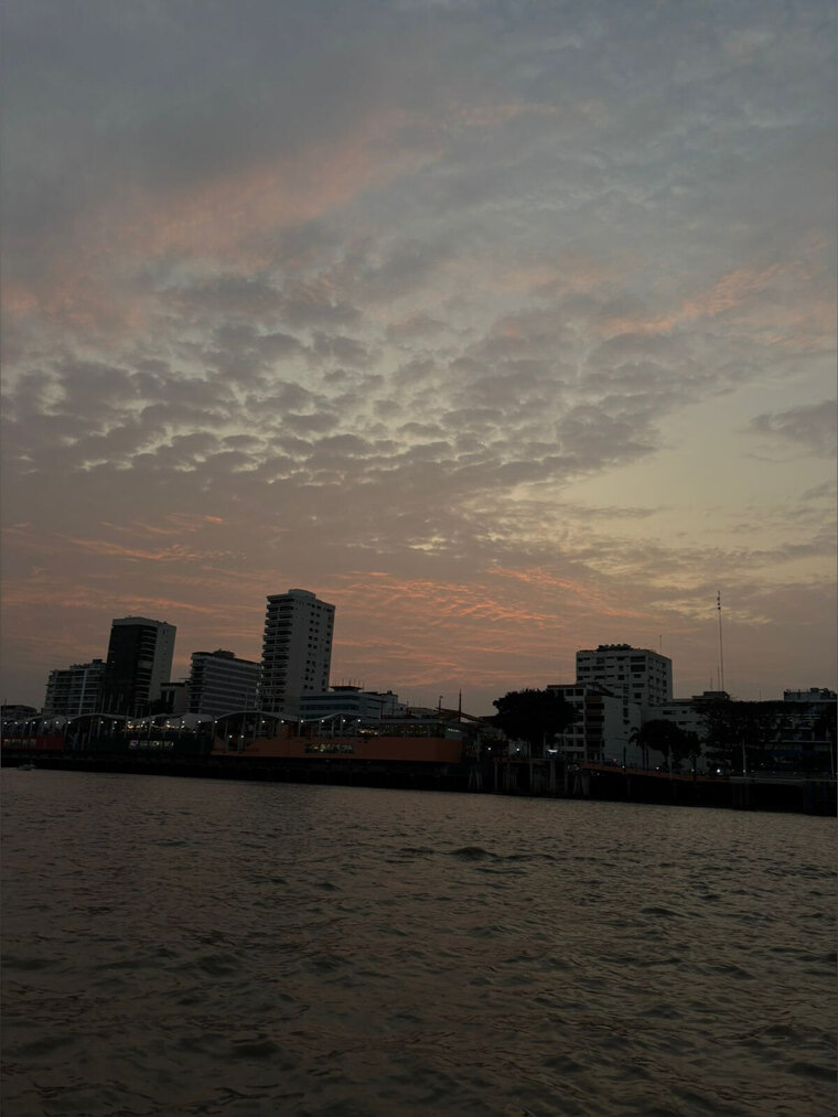 Junior cover image