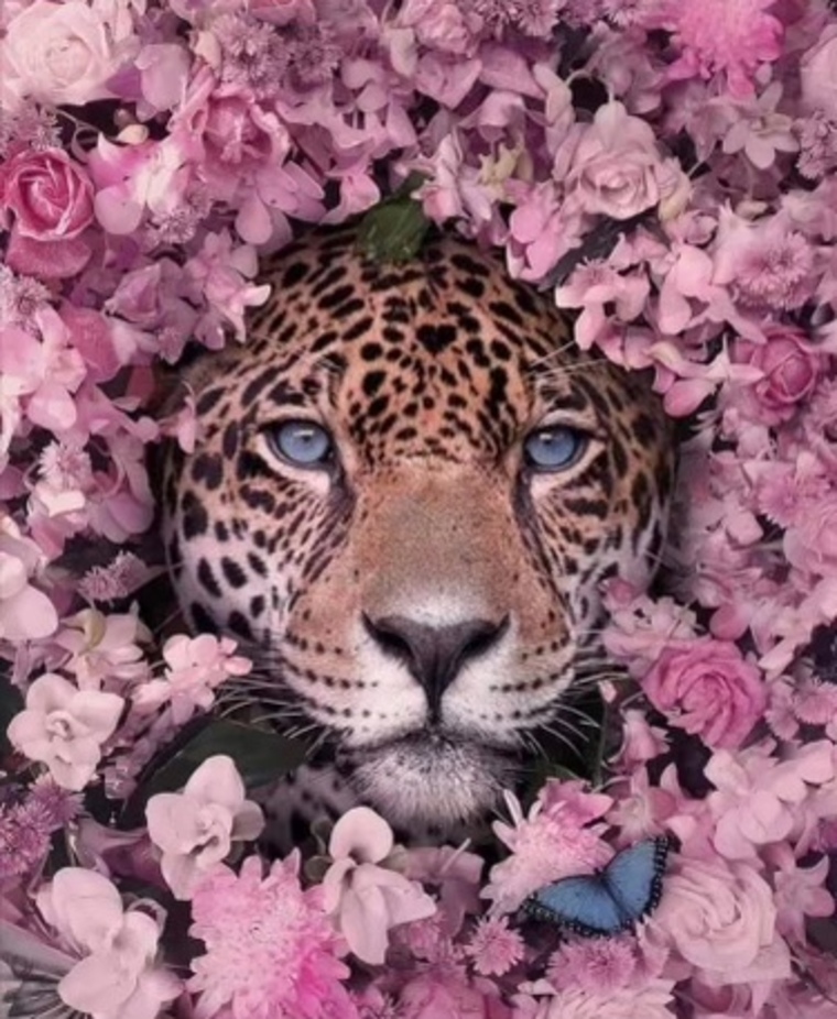 ᗒ Jun𝕚purrr ᗕ cover image
