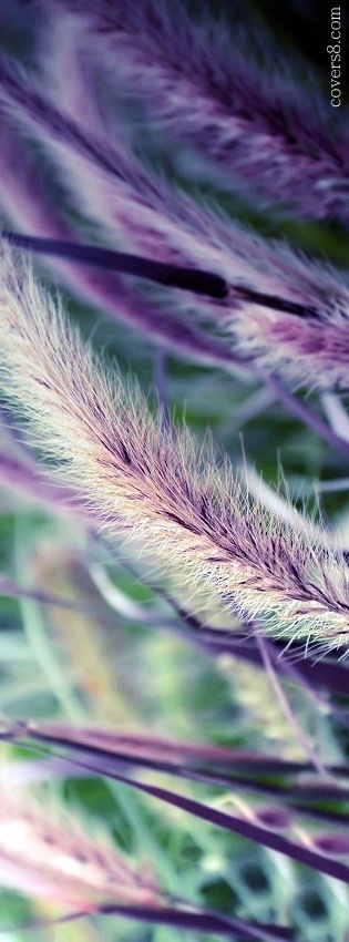 Samantha banner image