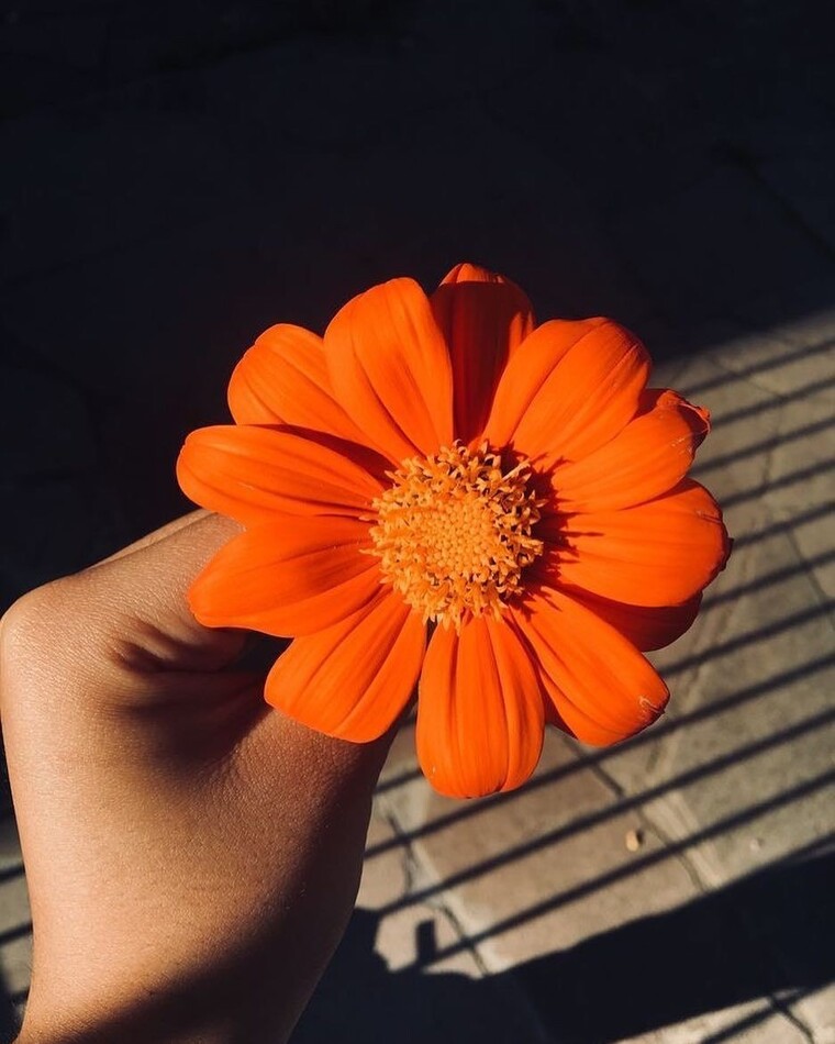 May cover image