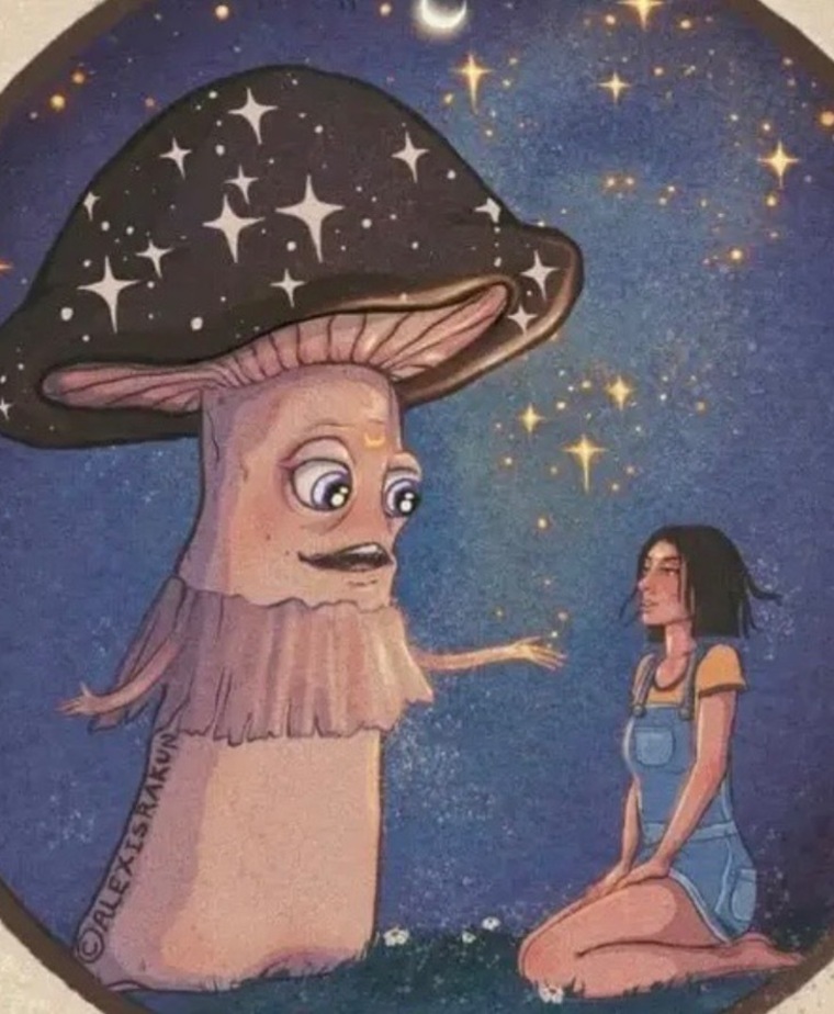 JustANumbba banner image