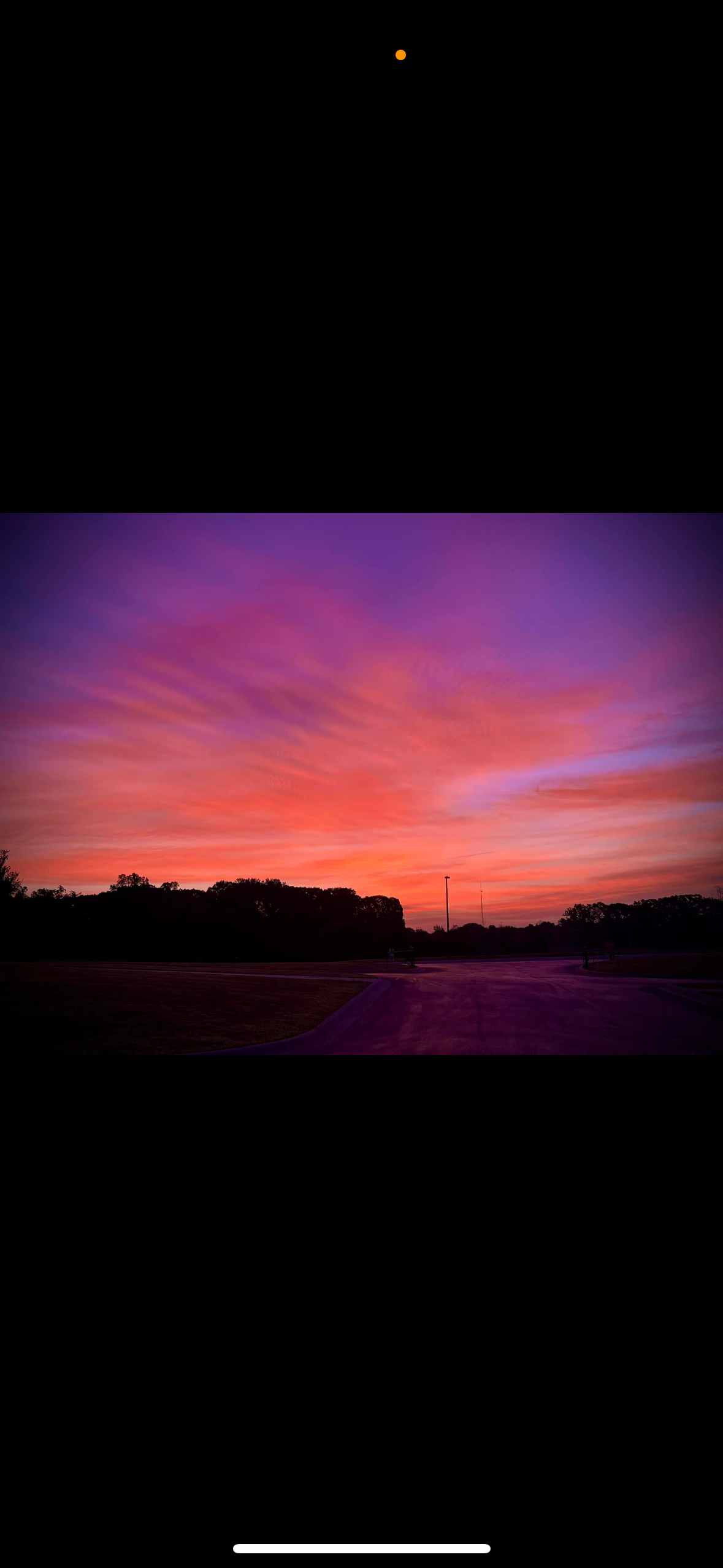 Emmy Lou banner image