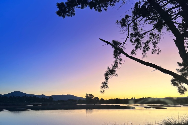 Sara cover image