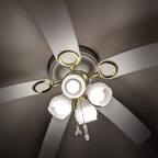 Free Fans avatar