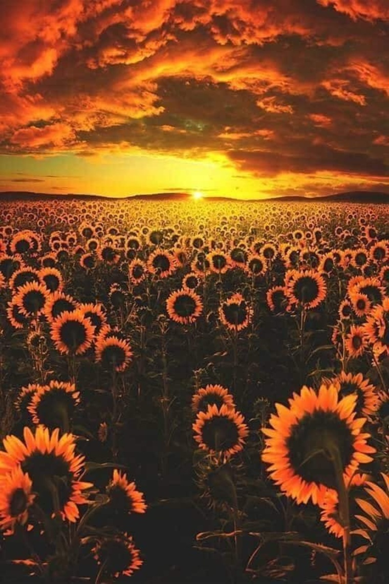 Justin banner image