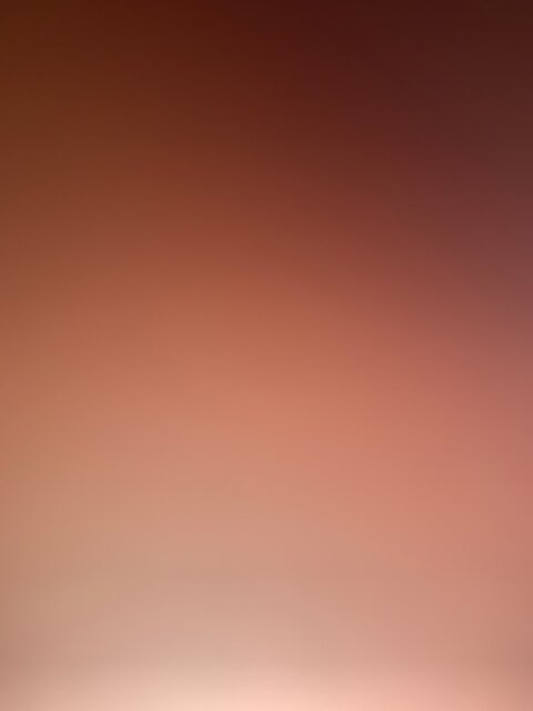 Just looking cover image