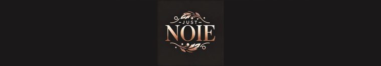 Noie cover image