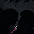 Doar Noi2 avatar