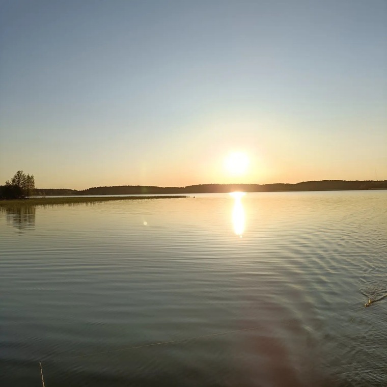 FinnishMale cover image