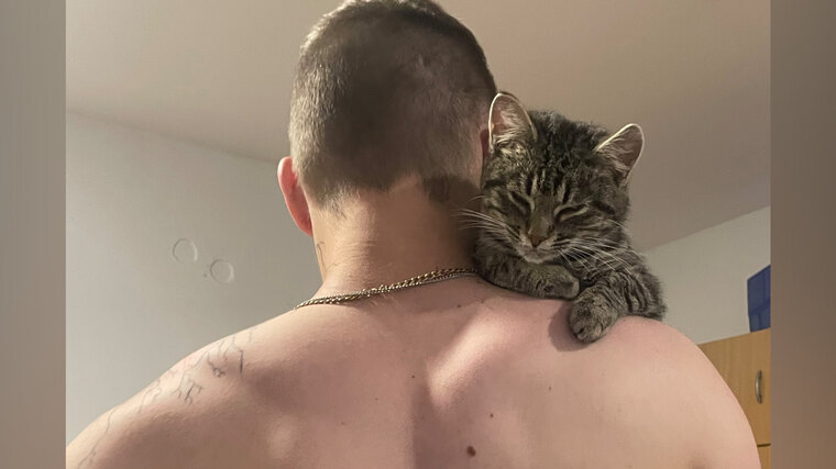 Kajinek cover image