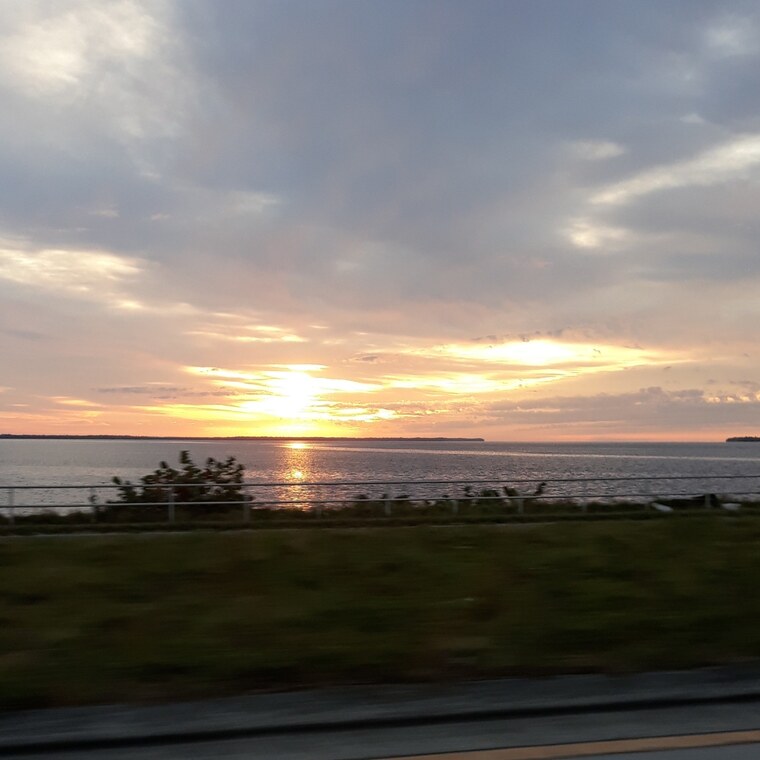 Sunny banner image