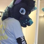 Kai Harada avatar