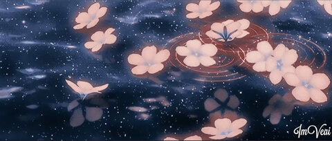 Rin🎐 cover image