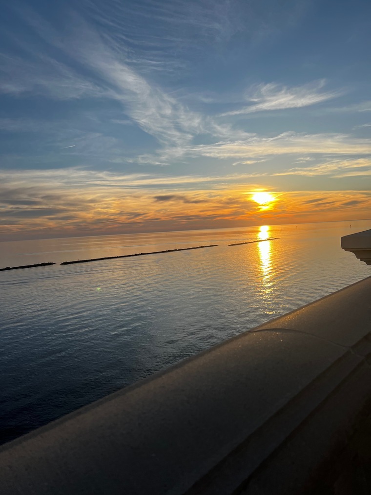 u159526954 cover image