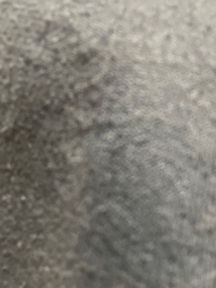 Kaitlyn cover image