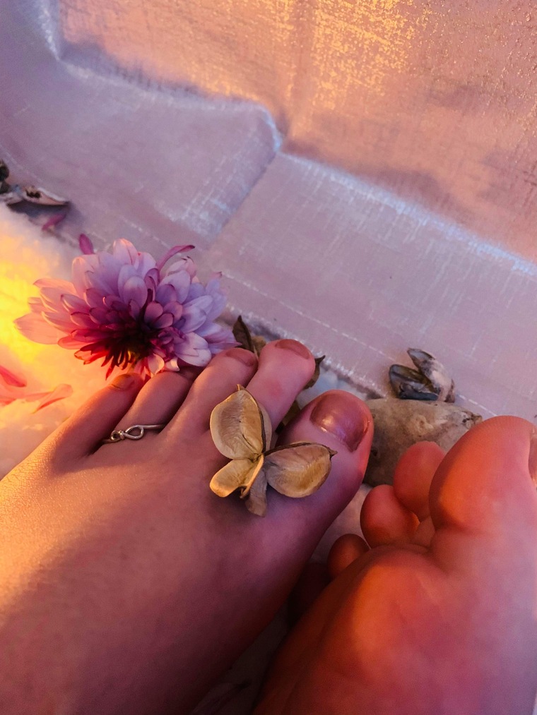 Kaki and Rose cover image