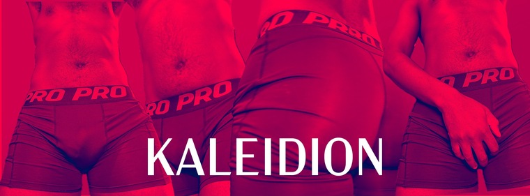 Dion banner image