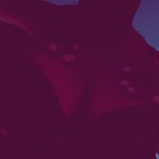 Kali Linux avatar