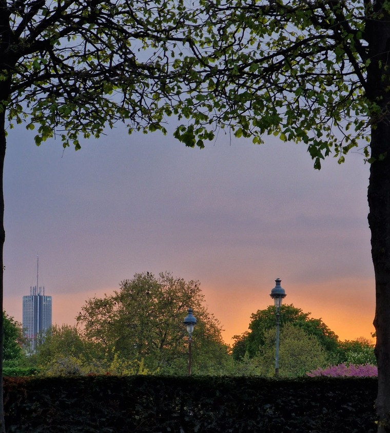 Kallans cover image
