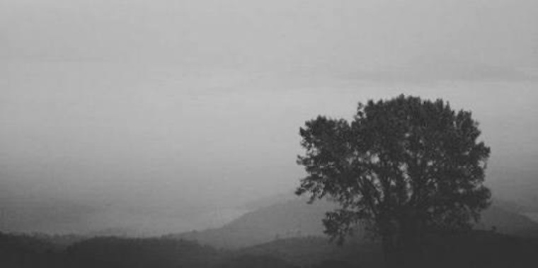 Kalli banner image