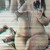 Kama&Sutra avatar