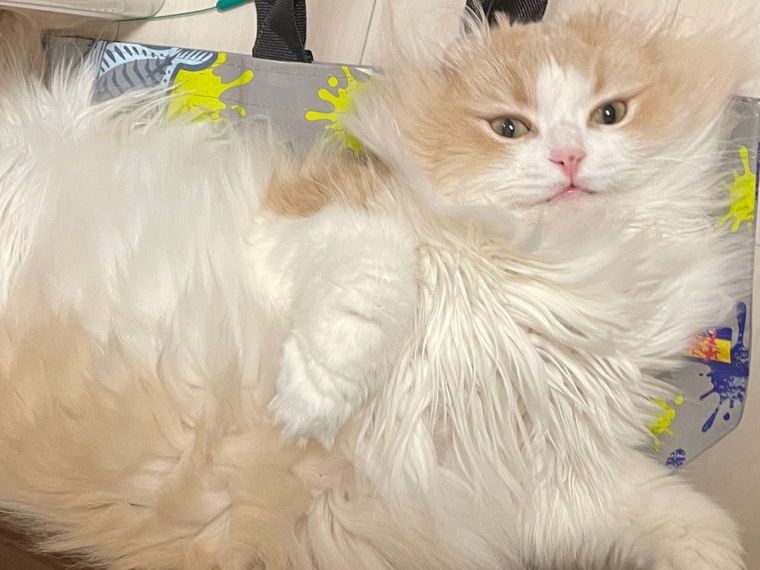 要あい banner image