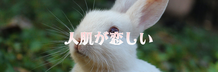 Yura / 山田ゆら banner image