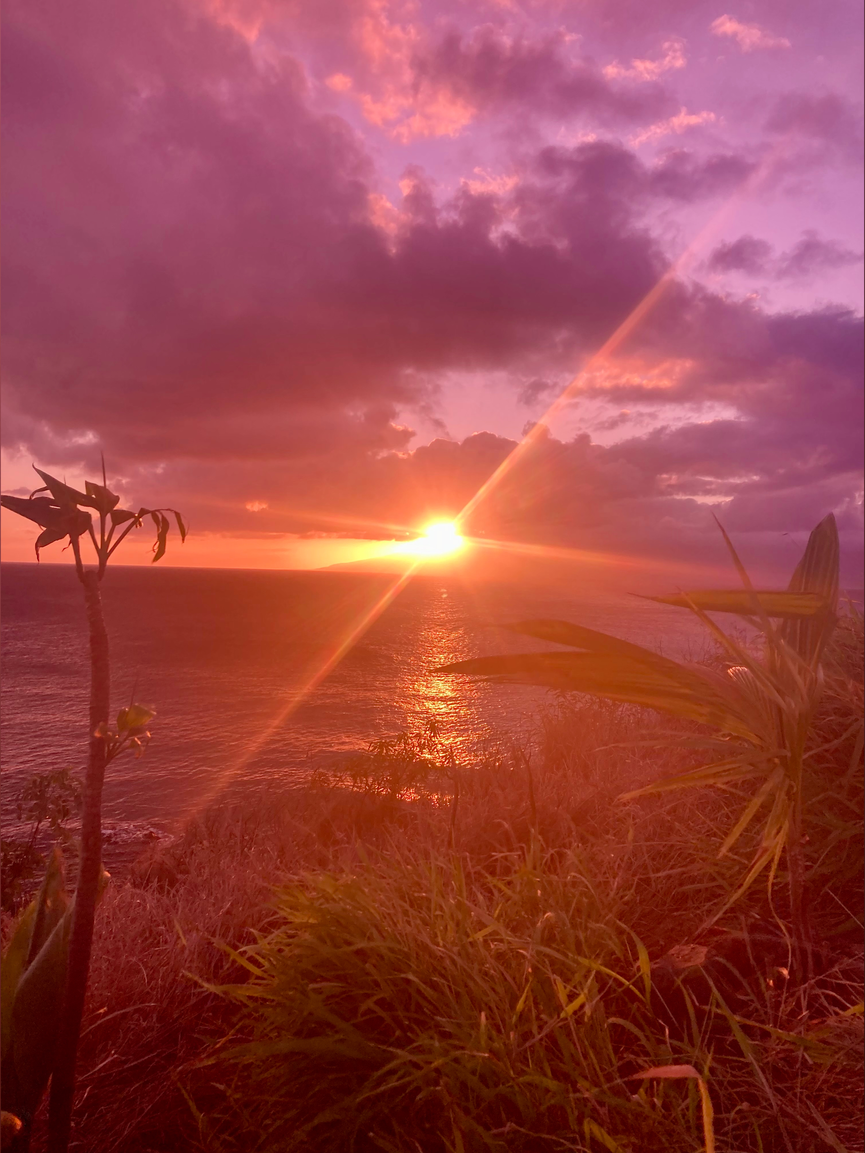 Kāne banner image