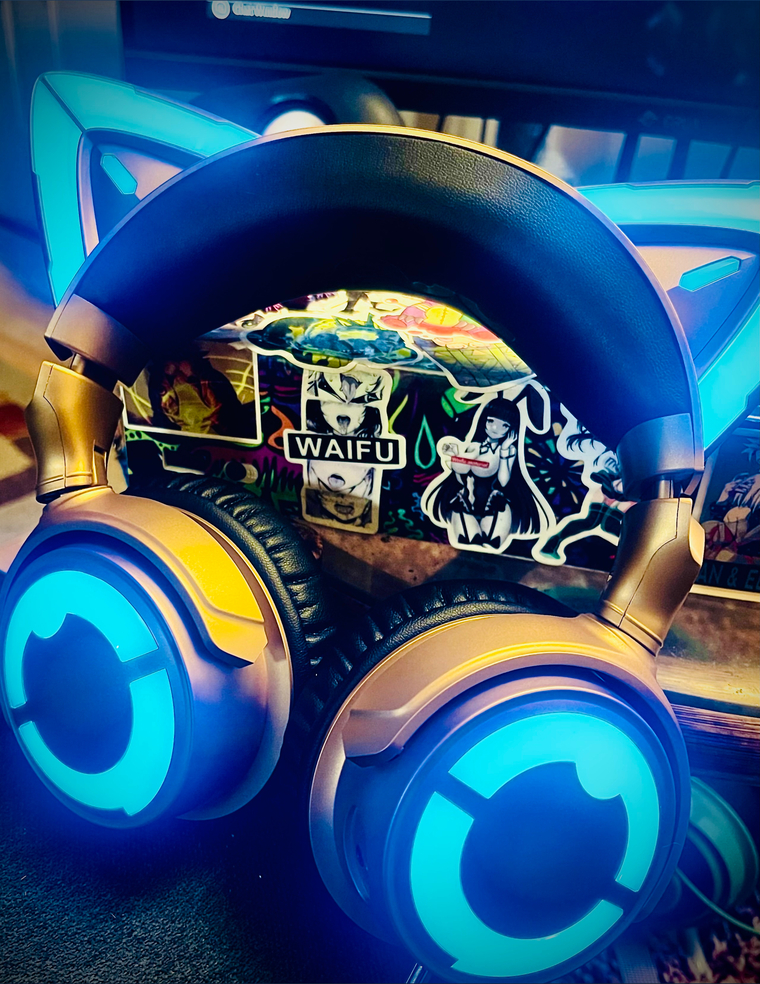 Kaos Kytty banner image