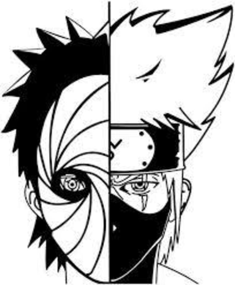Crow cover image
